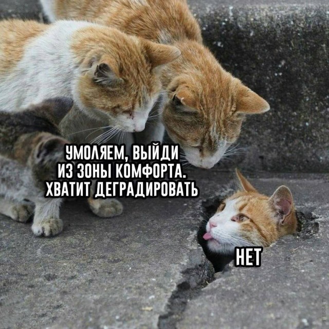 Деградильня