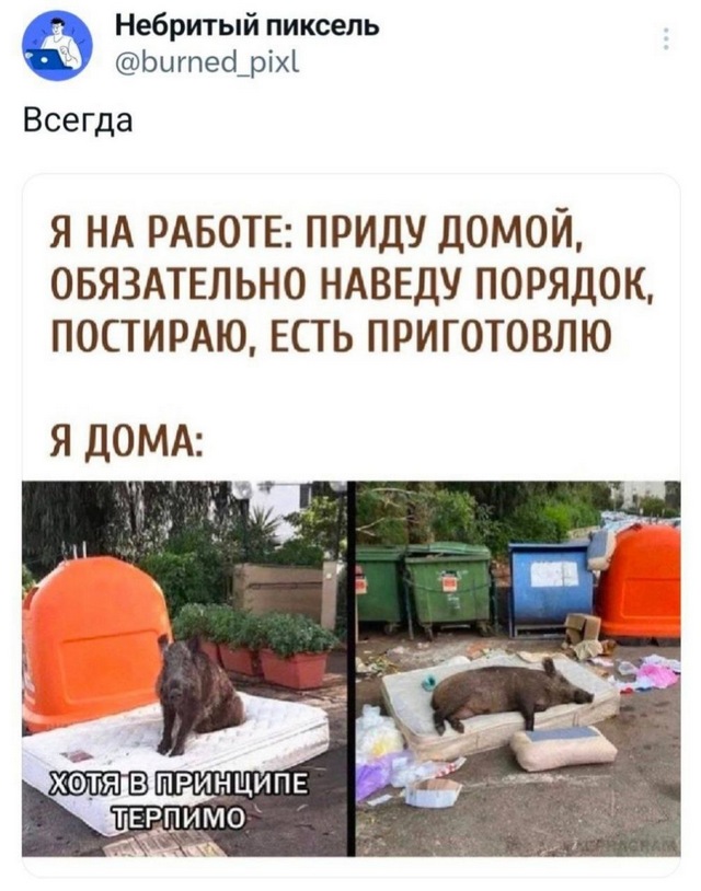 Завалялось тут случайно немного забавных картинок
