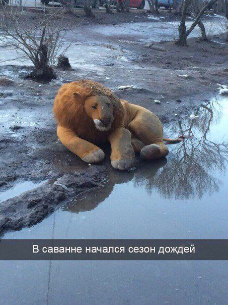 Народная меДИЧина 2001