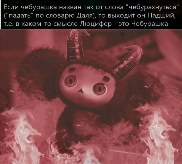 19552088.jpg