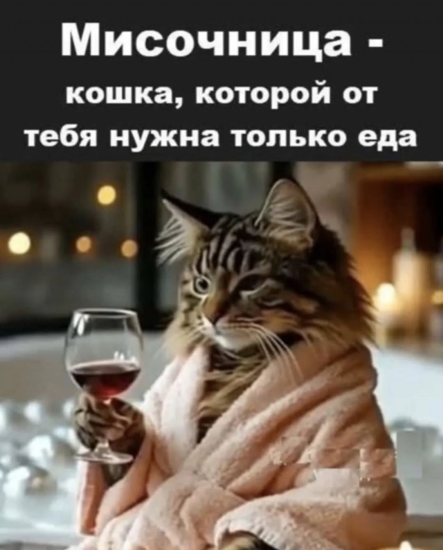 Шерстяные пидо.... братья наши меньшие