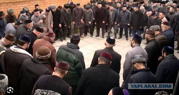 Пингвины умные, они знают как выживать.