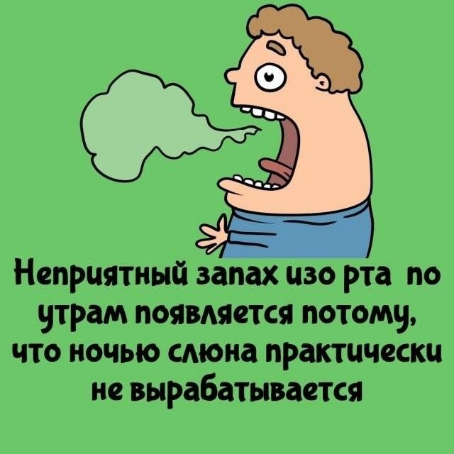 Интересные и короткие факты,на все случаи жизни 23.10.26
