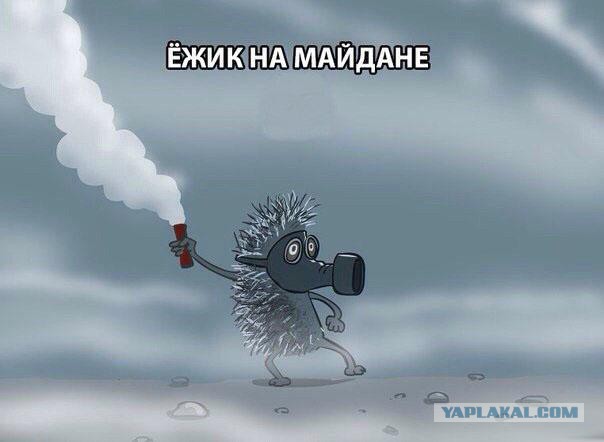 Теневое правительство Украины. Версия блогера