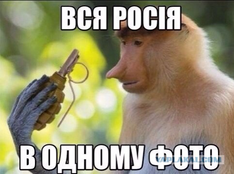 ДНР намеренна открыть границы с Россией