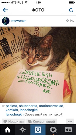 Пост кота на ЯПе