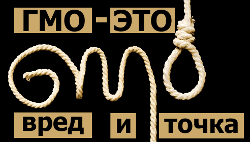 Мифы нашего времени: ГМО