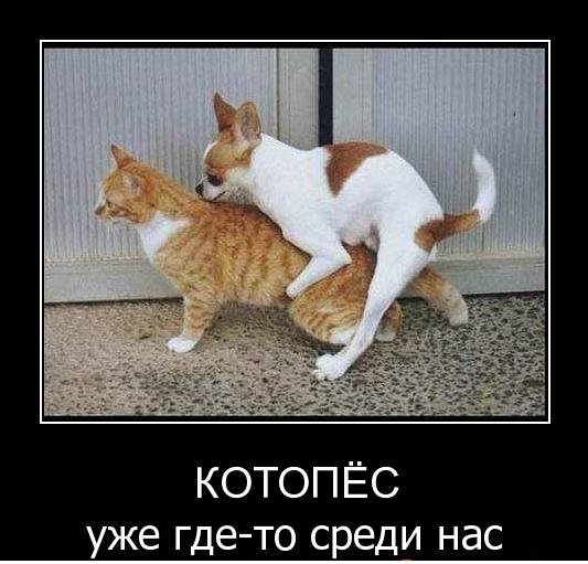 Гибриды