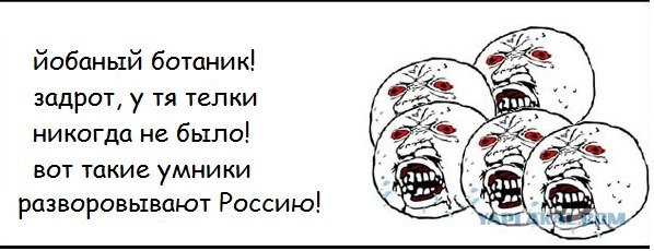 Толерантность