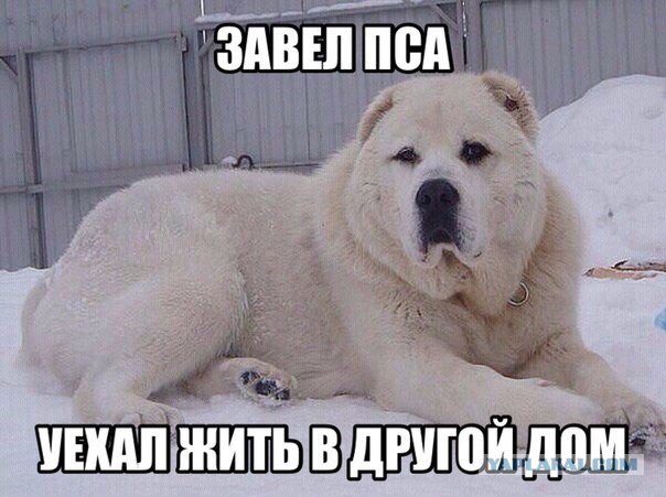 Картинки из соцстей