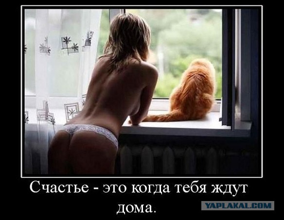 Картинки