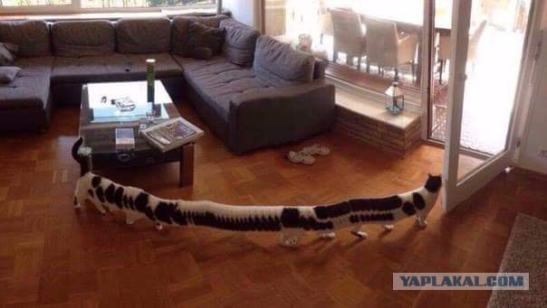 Подборка интересных и веселых фото