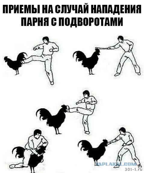 Спецпатруль - Не нарушайте ПДД