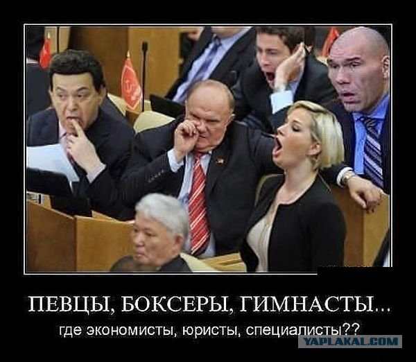 Деградация элиты России на примере Государственной Думы РФ. (30 фото)