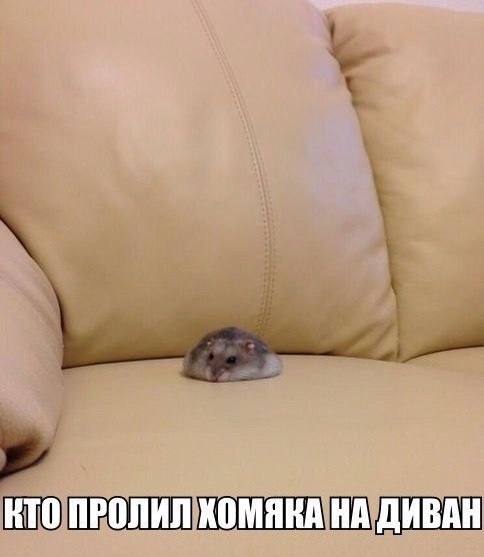 Кто работал и устал? Неадеквата час настал!