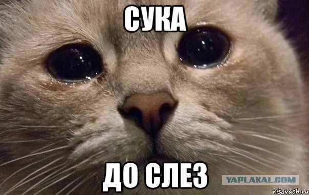 Ты хочешь быть ничего не должна мне?