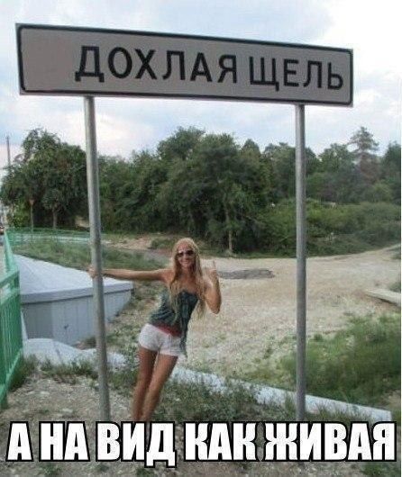 Так себе картинки #11