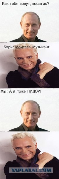 Шевчук и Путин (5 комиксов)