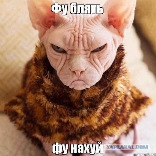 Просто гений из Америки