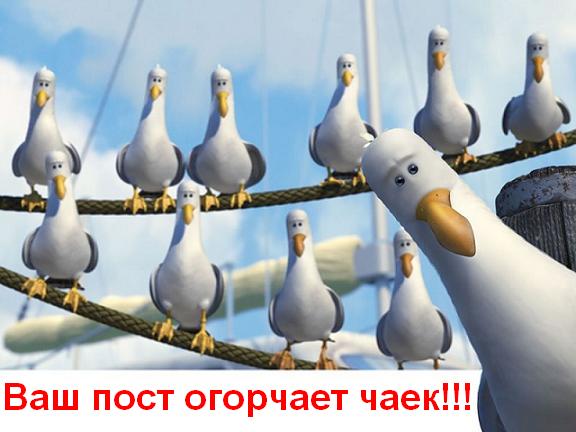 Глупые чайки