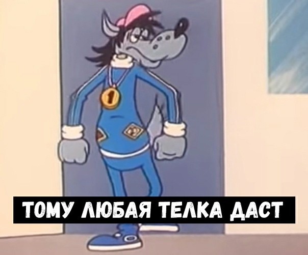 15404188.jpg