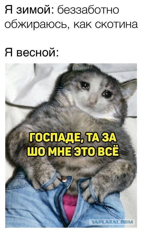 Юмор и прикольные картинки