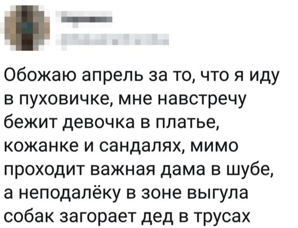 Немного картинок разной степени новизны и адекватности - 5
