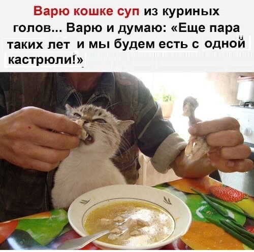 Картинки с надписями и всякие жизненные фразы 31.05.21