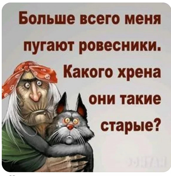 Весёлый полтишок 23.07