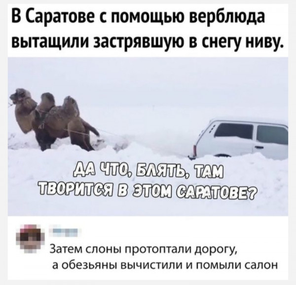 Так себе картинки 02.04.22