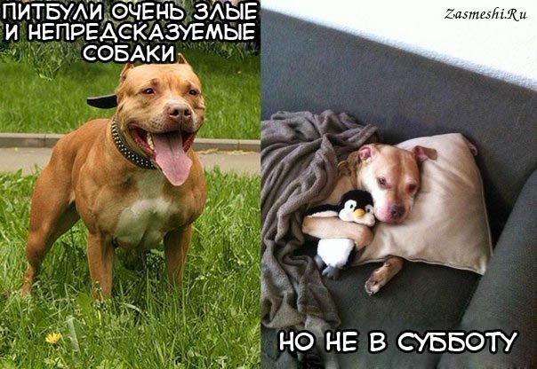 Картинки разные, возможны баяны