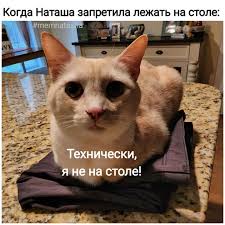 Картинки для деградации-6 (разной степени свежести)