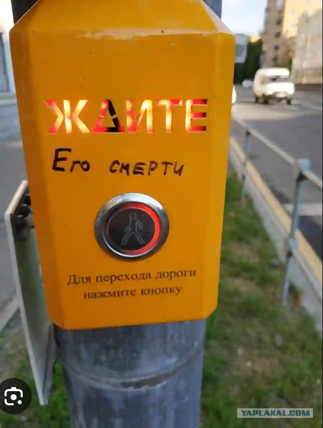 Кому за 40: благодаря среднему и высшему образованию у вас нет конкурентов