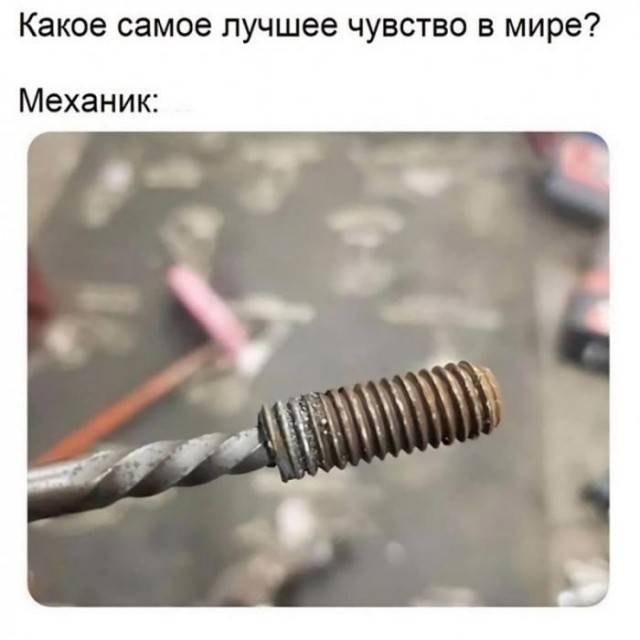 Картинки для деградации 208 (разной степени свежести)