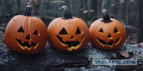 Внимание: вопрос.