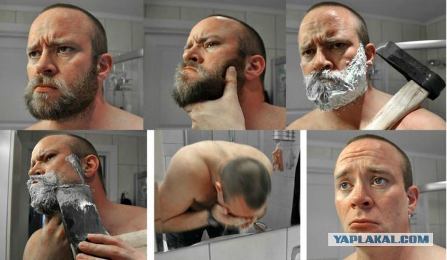 Аккордеоны