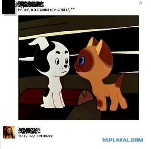 Смешное из соц сетей