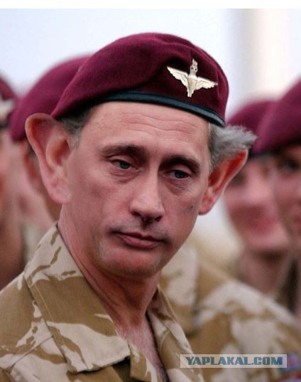 Псаки чуток