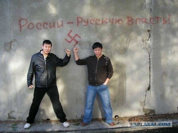 Чудики из социальных сетей