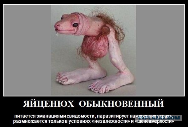 Яйценюх