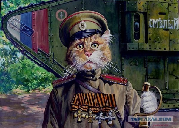 Котейки Первой мировой
