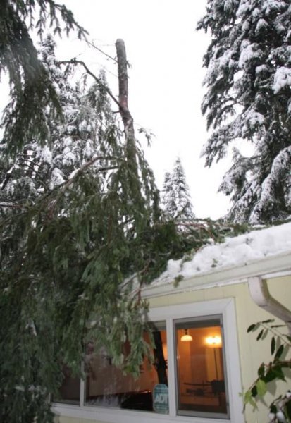 Родился не в рубашке, а в бронежилете