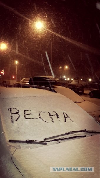 Сегодня ночь в Питер пришла