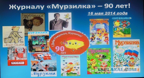 "Крик души" в соцсетях и ответ ГИБДД