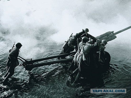 Фотографии с войны