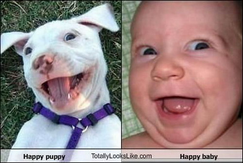 Двойники есть у всех