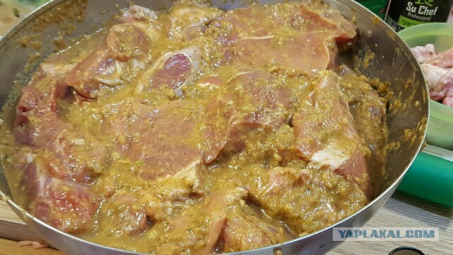 Электрошашлык party