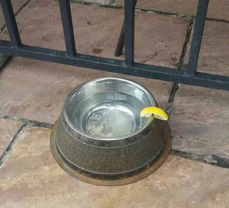 Интересные и веселые картинки