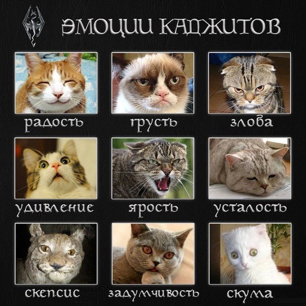 Приколы в стиле "регресс"