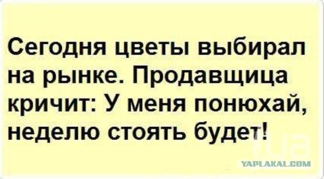 Адовая смесь чернушных картинок на вторник